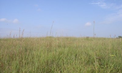 Box image