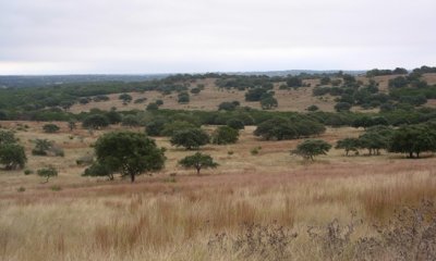 Box image