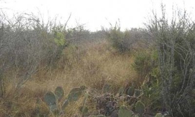 Box image
