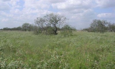 Box image