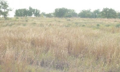 Box image