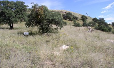 Box image