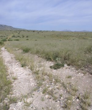 Box image