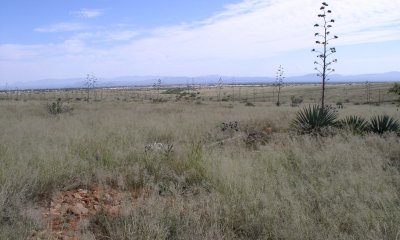 Box image