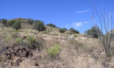 Box image