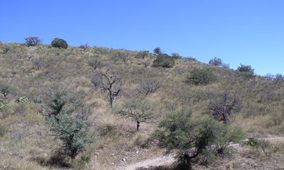 Box image