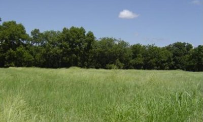 Box image