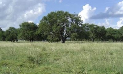 Box image