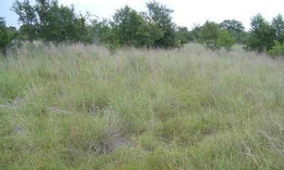 Box image
