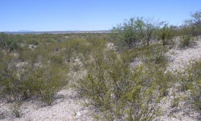 Box image