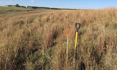 Pastureland (Irrigated and rain fed)
