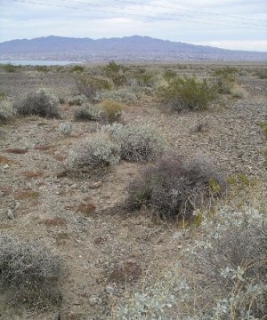 Box image