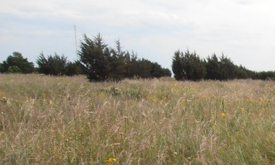 Box image