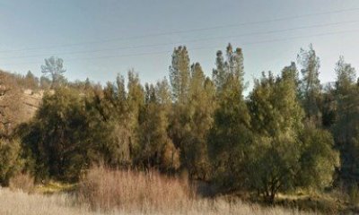 Shrub Chaparral State