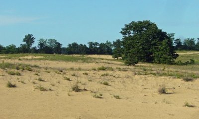 Box image