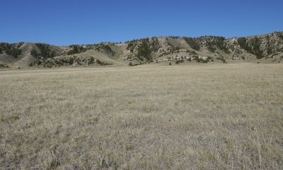Box image