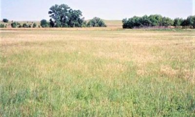 Box image