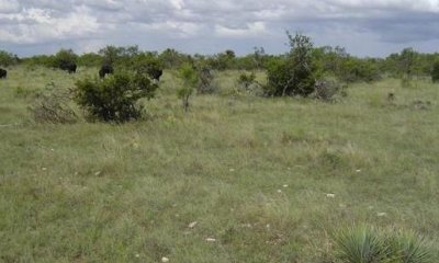 Box image