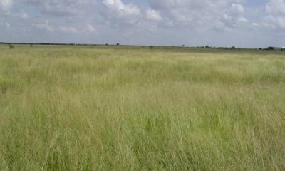 Box image