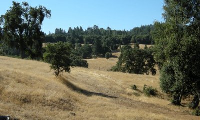 Box image