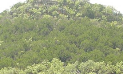 Box image