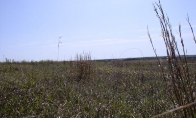 Box image