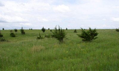 Box image