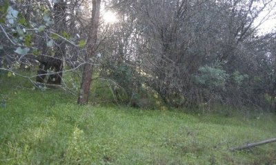 Box image