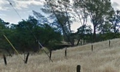Representative State (Blue oak grassland savannah)