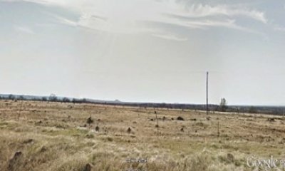Annual Grassland