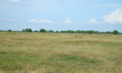 Box image
