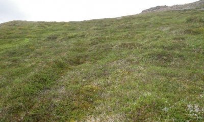 Box image