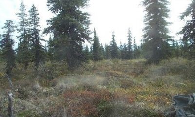 Box image