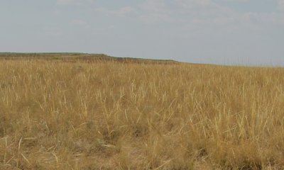 Box image
