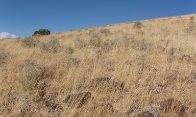 Box image