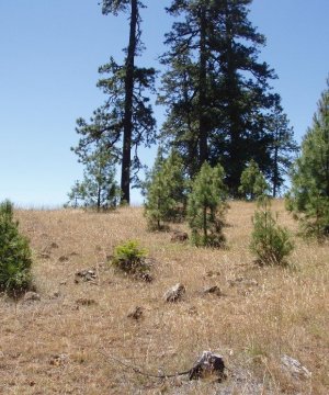 Box image