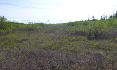 Box image