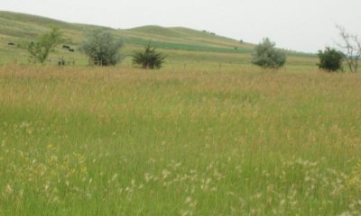 Box image