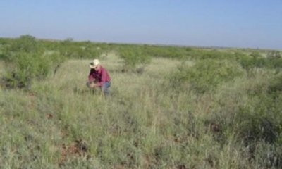 Box image