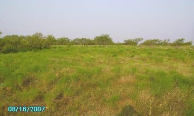 Box image