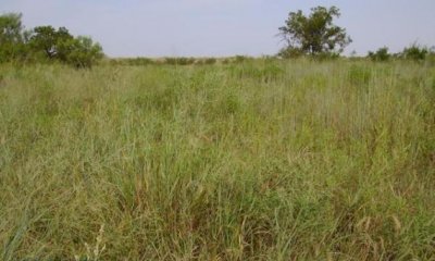 Box image