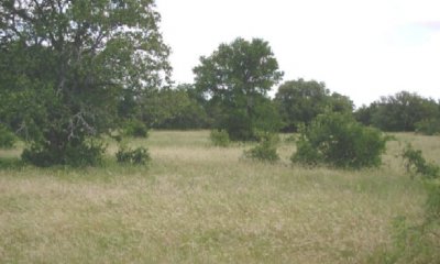 Box image