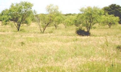 Box image