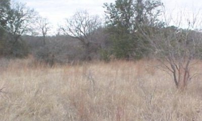 Box image