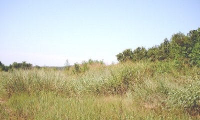 Box image