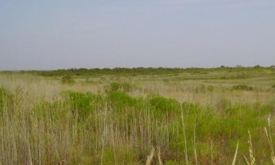 Box image