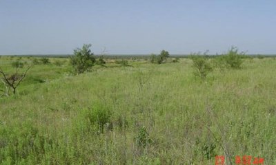 Box image