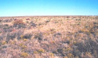 Box image