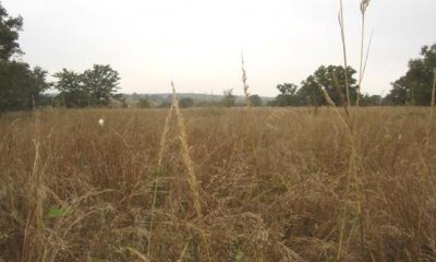 Box image