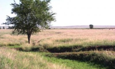 Box image